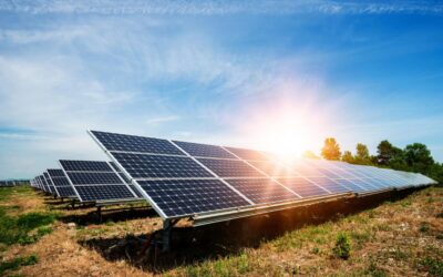Sun reflects off solar panels under a bright blue sky