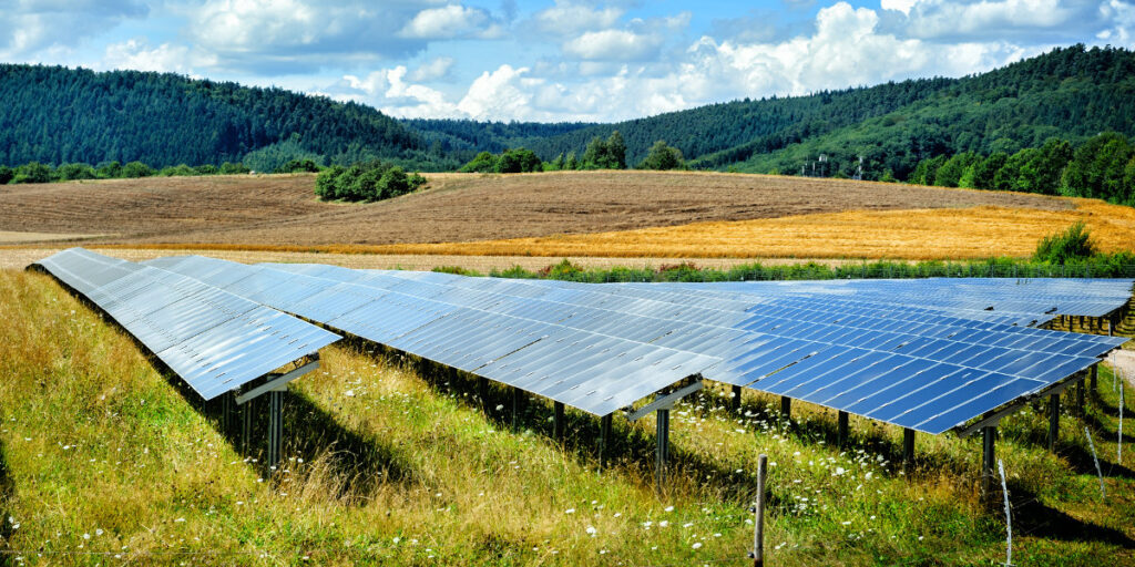 solar panels spread across a hillside under rolling hills and bright blue skies with puffs of white cloud