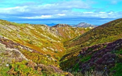 the application would see the development of a 24.5 hectare (60.5 acre) site at The Beeches, off Alkington Road, near the A41 close to Whitchurch. Image: PXfuel.