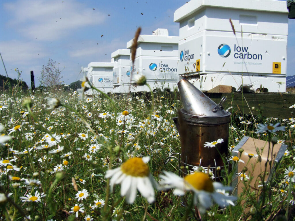Bee hives with the low carbon logo