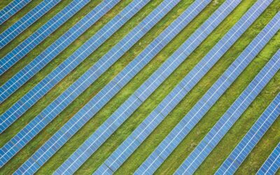 Solar panels viewed from above on green fields