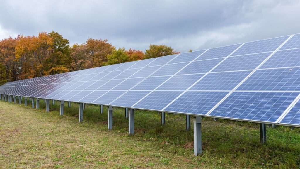 solar panels in a green field