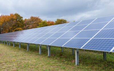 solar panels in a green field