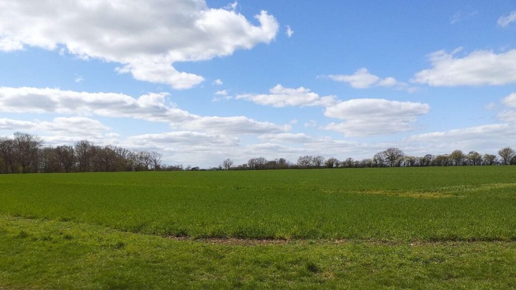 A green field under a blue sky with white clouds