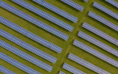 Gareth Simkins, senior communications adviser for Solar Energy UK, reflects on the past year's progress in the solar sector. Image: Octopus Energy.