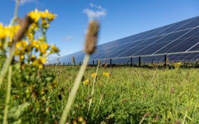 Solar_panels_-_credit_Centrica