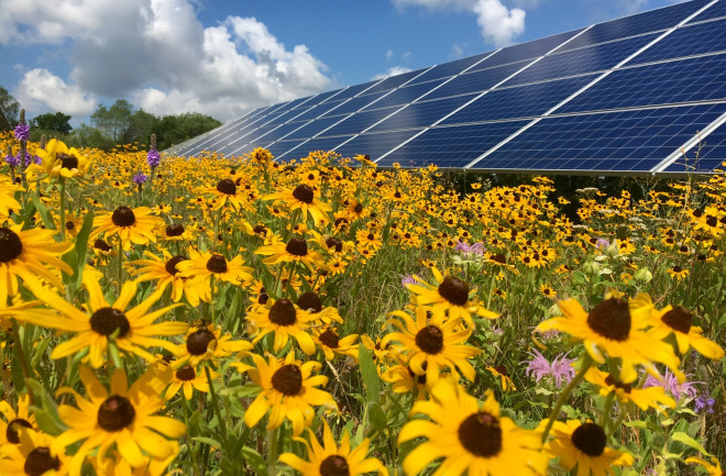 Biodiverse Consulting will specifically support Queequeg in achieving the necessary biodiversity net gain for projects. Image: Solar Energy UK.