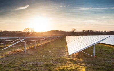 temp_file_Generic_solar_farm_sunset_-_Lightsource5